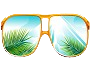 optical_and_sunglasses